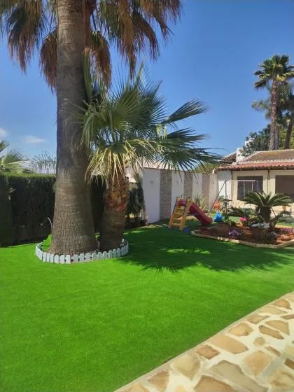 A sunny garden with green lawn, palm trees, and a children's play area.