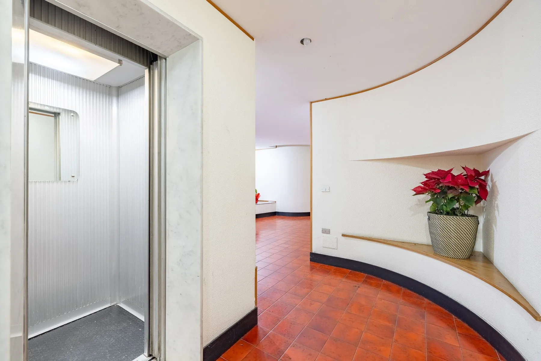 A curved interior hallway with a recessed shelf and potted plant.