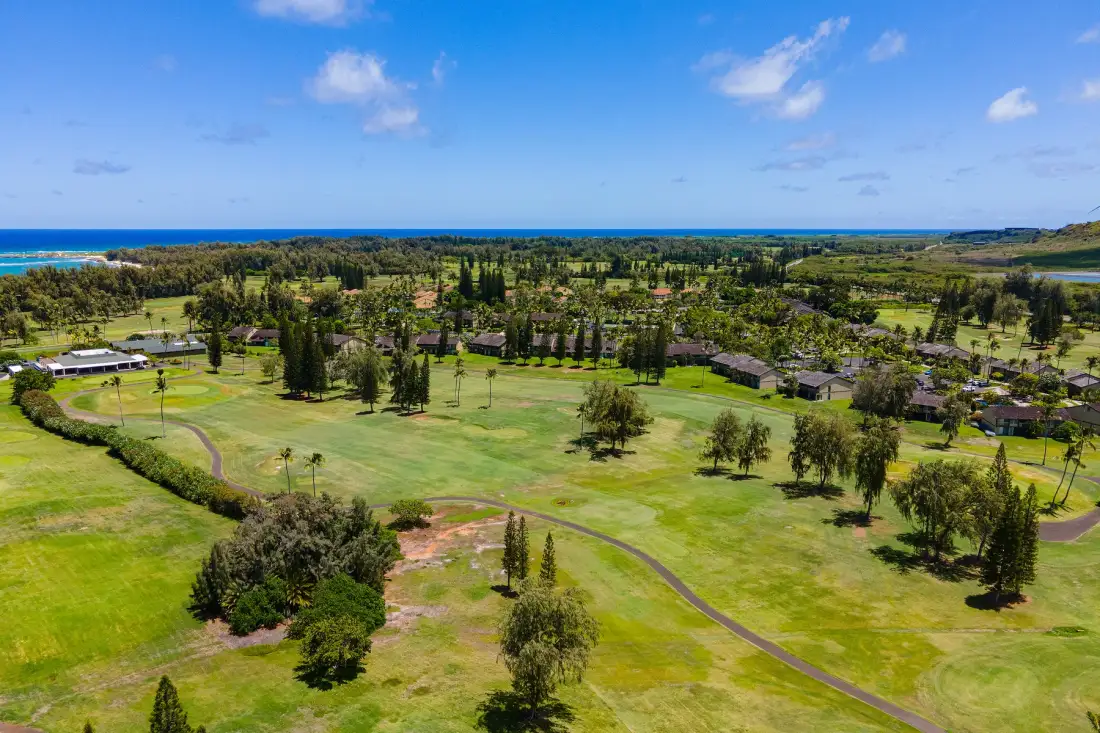Aerial view of a broad green landscape with scattered trees and the ocean on the horizon.