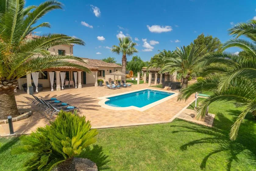 Una piscina al aire libre junto a un patio de baldosas, palmeras y un edificio bajo.