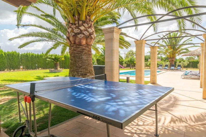 Una mesa de ping-pong al aire libre está bajo una palmera junto a una piscina.