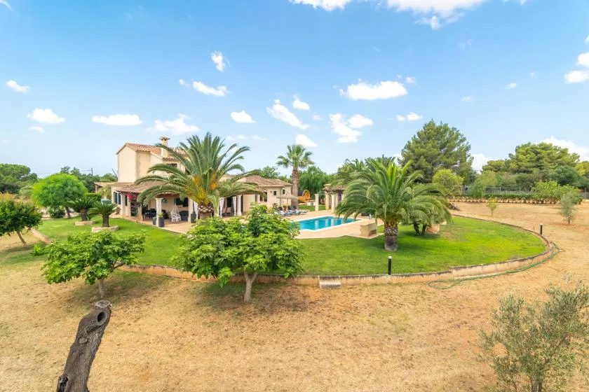 Una propiedad ajardinada con piscina, palmeras y una casa grande.