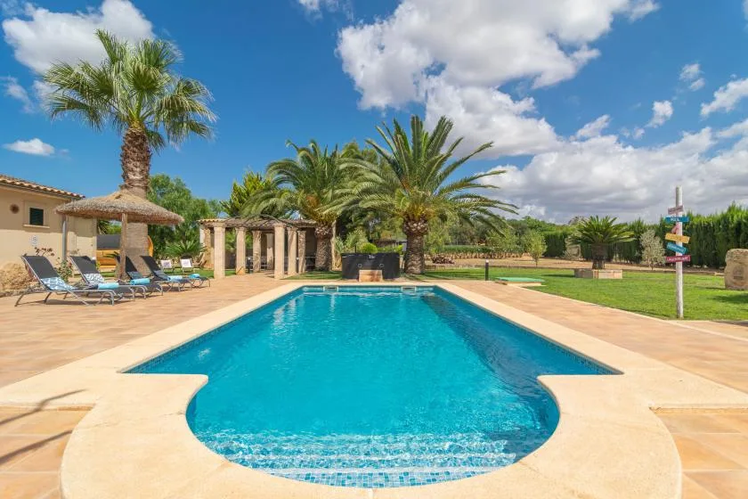 Una piscina al aire libre está junto a un patio, palmeras y césped.