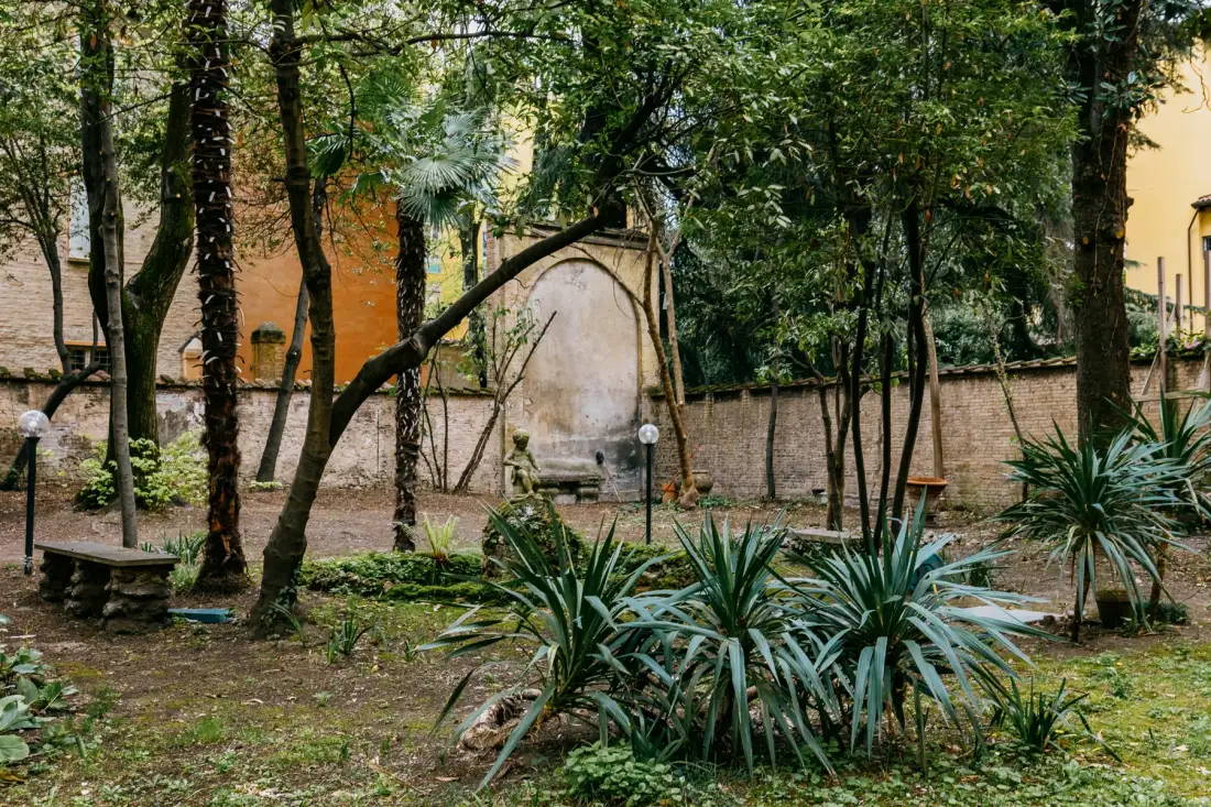 A leafy garden with trees and spiky plants beside a stone wall.