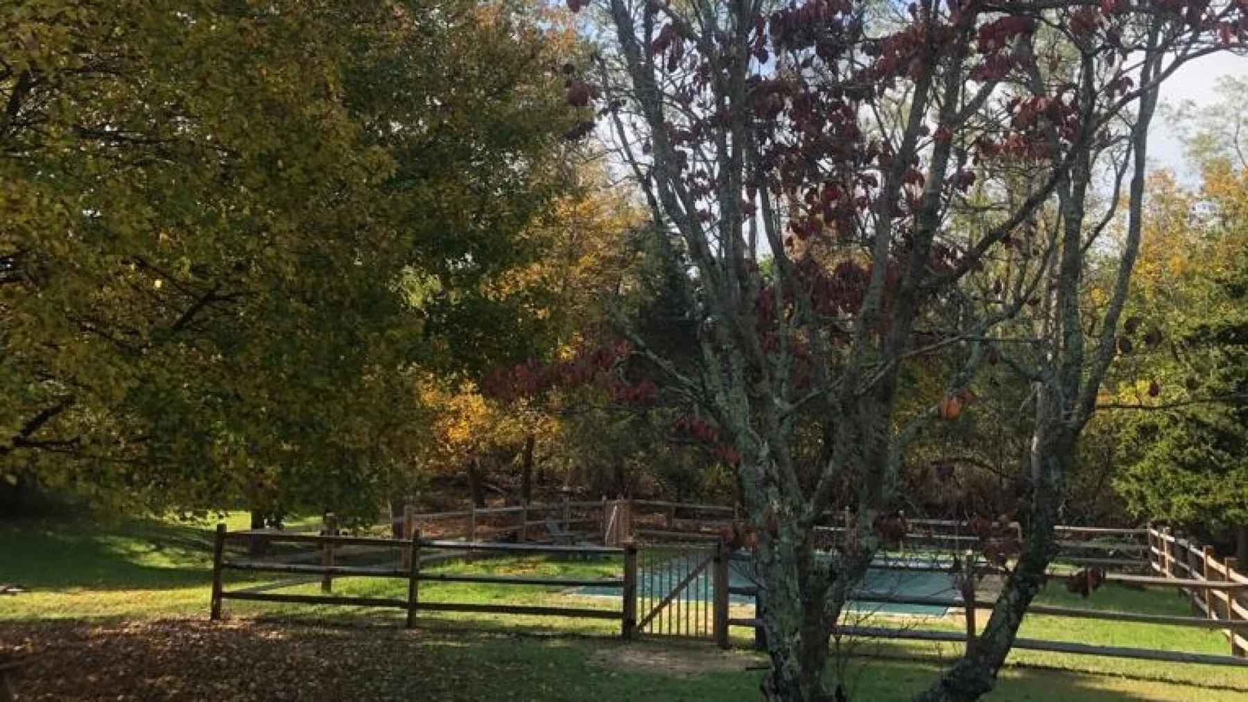 A fenced outdoor swimming pool sits among trees and green lawn.