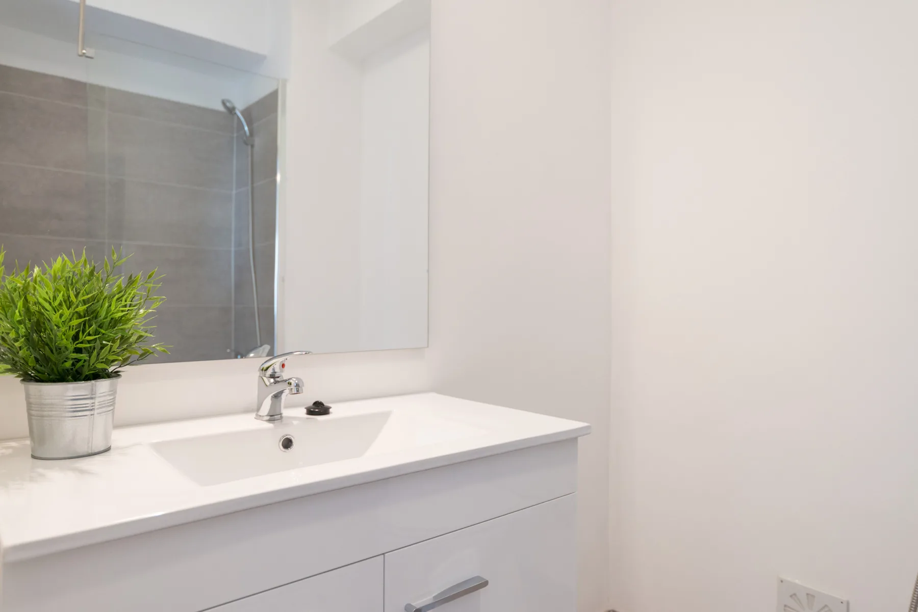 A bright bathroom vanity with a sink, mirror, and potted plant.
