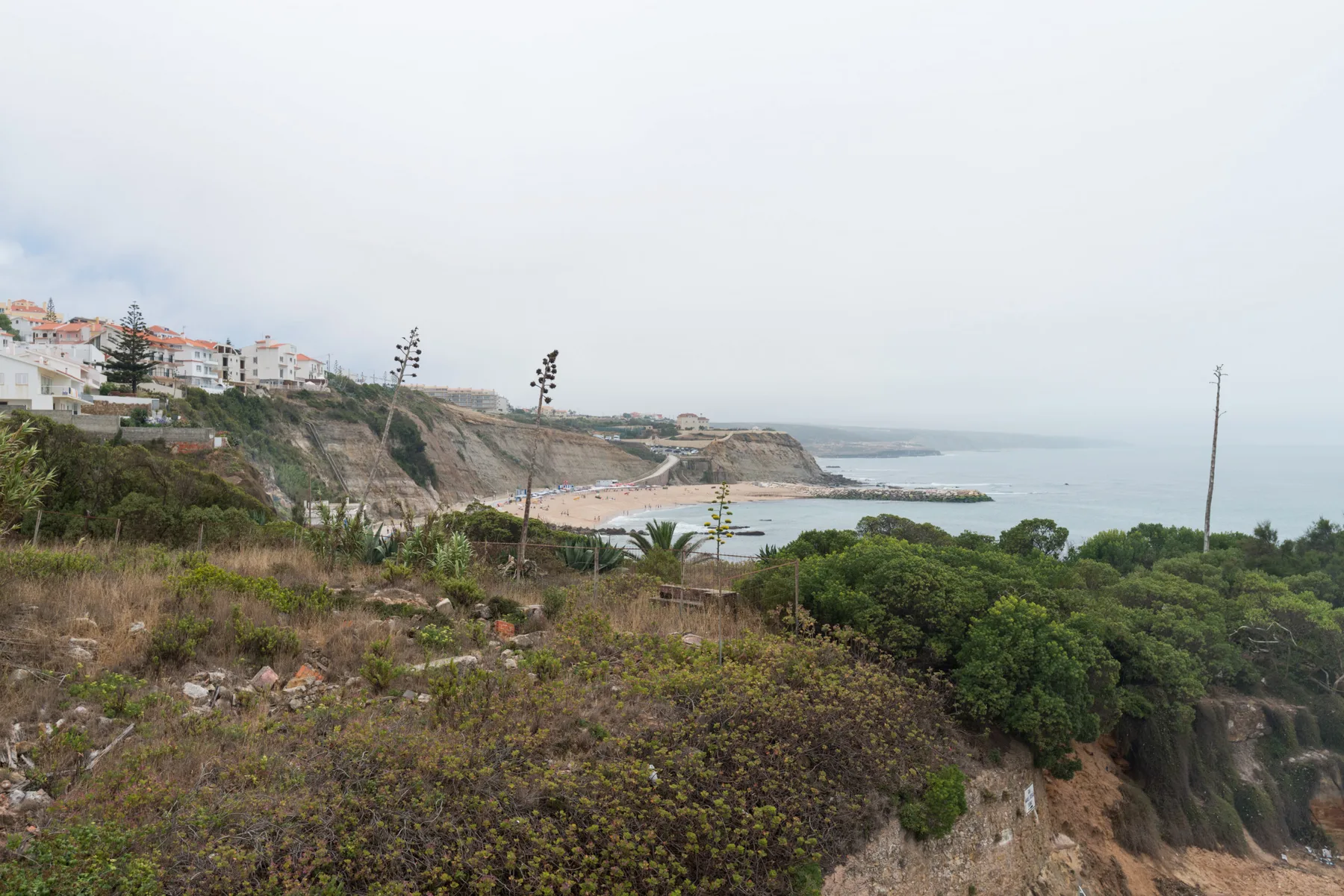 A coastal landscape with cliffs, hillside vegetation, and the ocean.