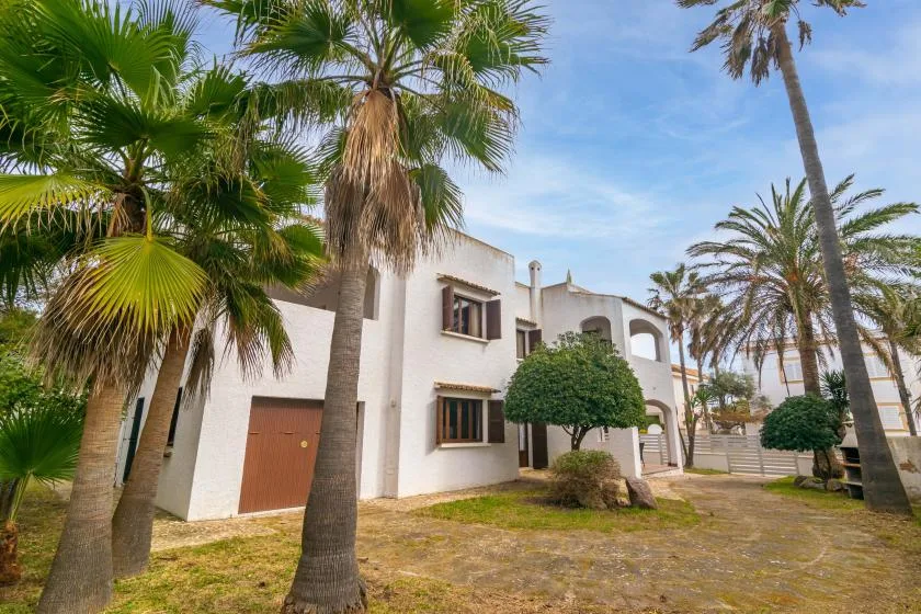 A white building stands among palm trees beside a paved courtyard.