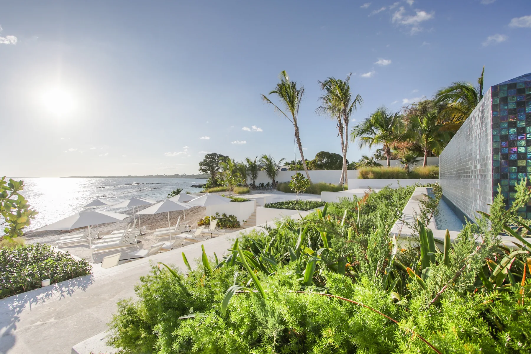 A landscaped beachfront patio overlooks the ocean, with lounge seating and palm trees.