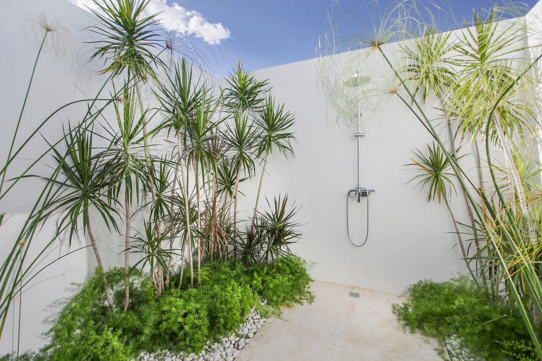 An outdoor shower area with a wall-mounted showerhead and surrounding tropical plants.
