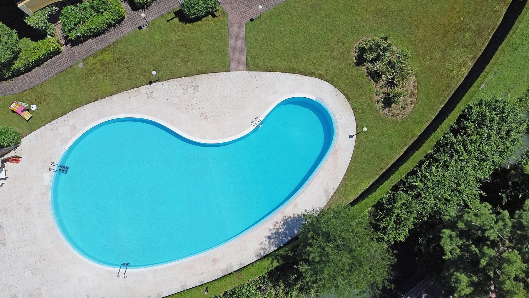 An aerial view of a curved swimming pool surrounded by a paved deck and greenery.