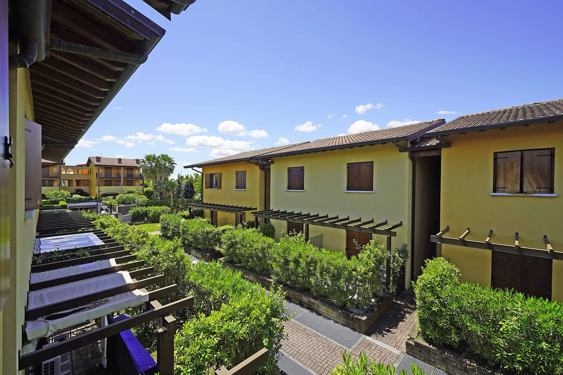 A sunny courtyard walkway runs between yellow buildings and green shrubs.
