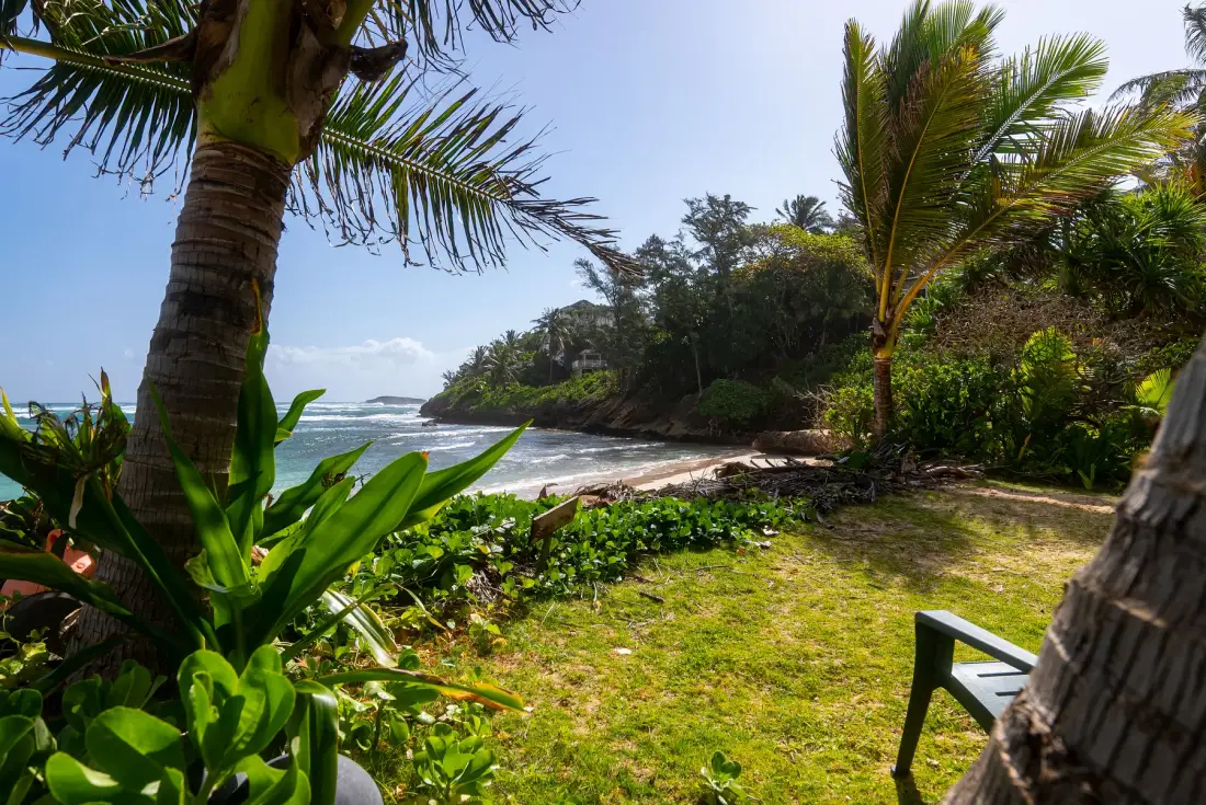 Un jardín costero con césped da a una playa de arena y al oleaje.