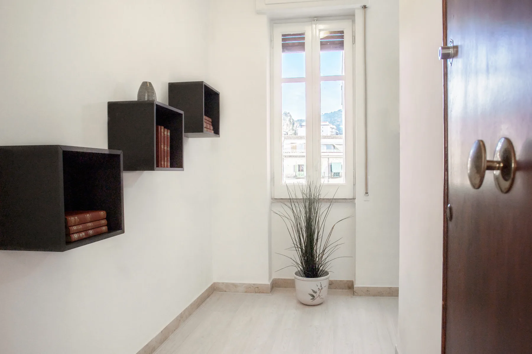 A bright room with wall-mounted shelves and a potted plant by the window.