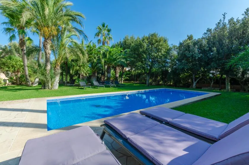 Una piscina rodeada de vegetación, con tumbonas acolchadas junto al agua.