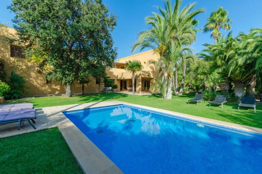 Una piscina al aire libre junto a un césped y palmeras.