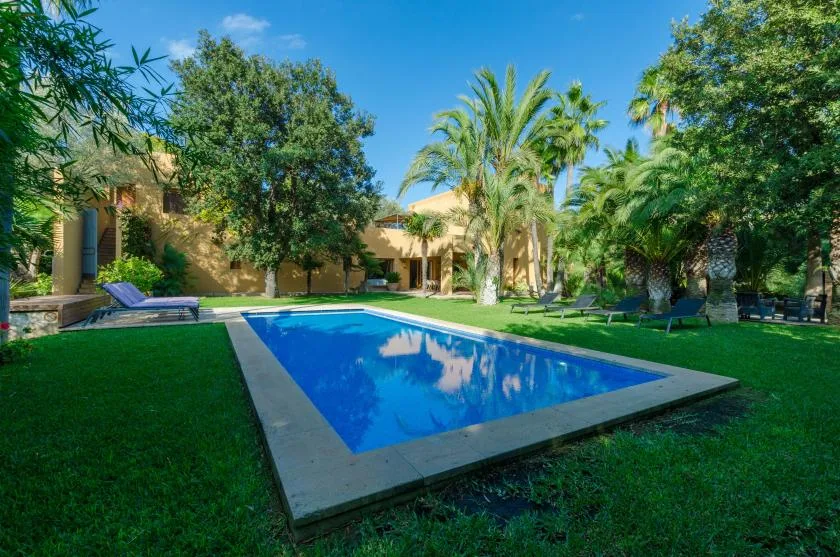 Una piscina al aire libre se encuentra en un jardín con palmeras.