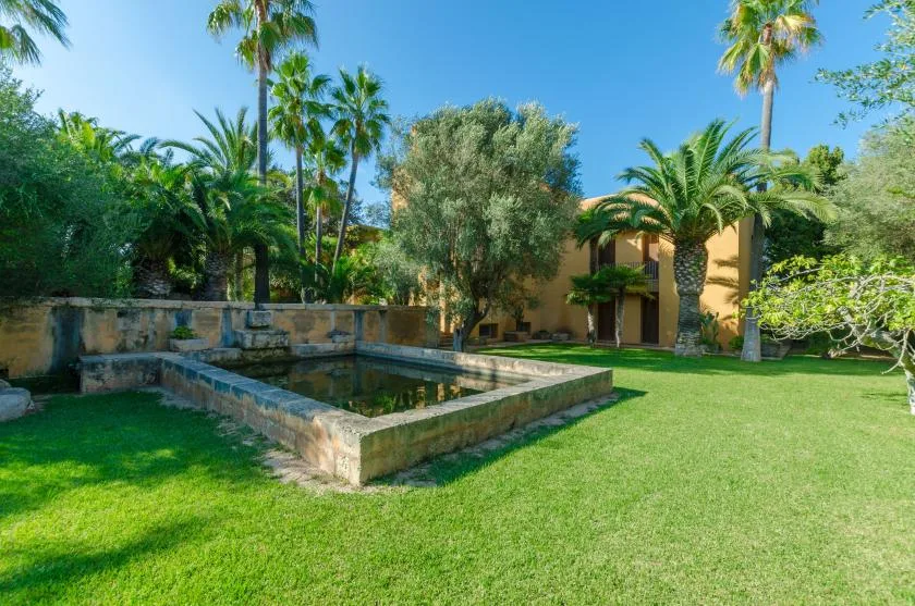 Un jardín ajardinado con una fuente rectangular de piedra y palmeras.