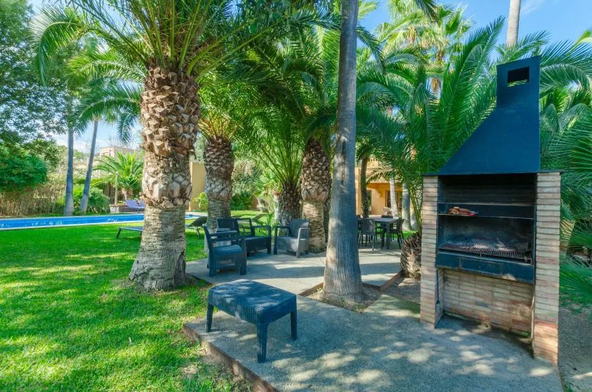 Una zona de estar al aire libre, a la sombra de palmeras, junto a una piscina y una barbacoa.