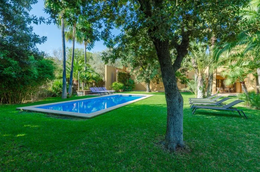 Un jardín con piscina, césped y asientos a la sombra.