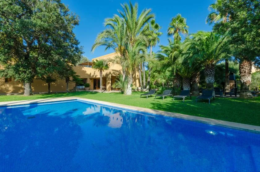 Una piscina junto a un césped, palmeras y asientos.