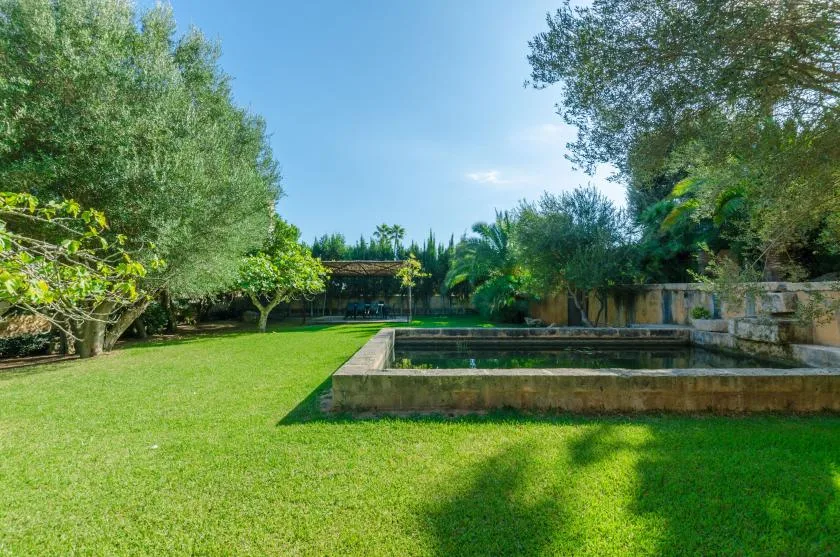 Un jardín con césped rodea una piscina rectangular entre árboles maduros.