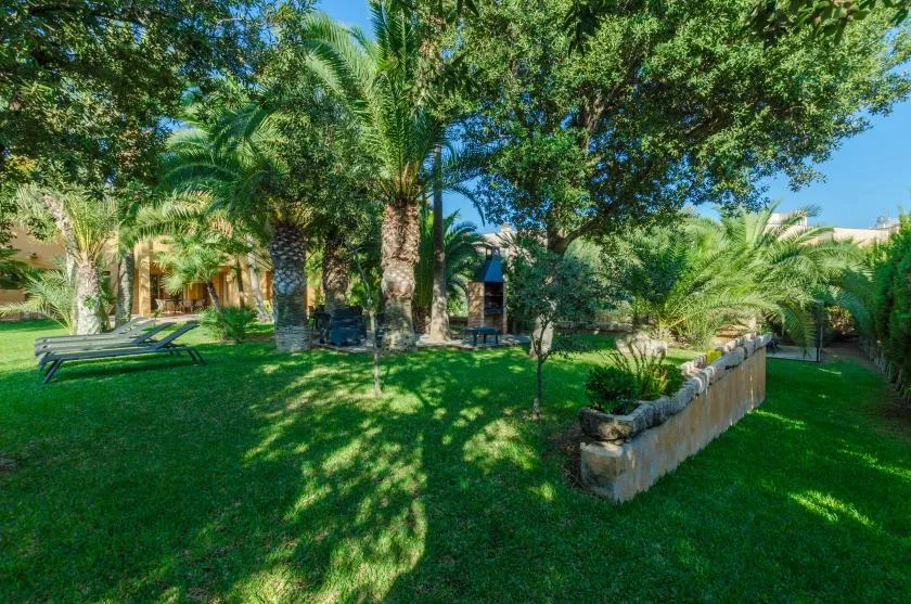 Un jardín frondoso con palmeras, césped verde y asientos a la sombra.