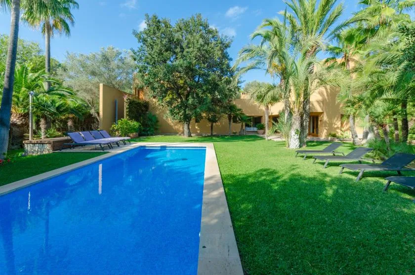 Una piscina junto a un césped, con asientos reclinables y palmeras.