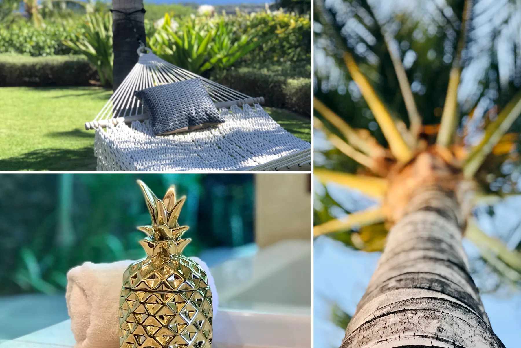 A collage shows an outdoor hammock, a gold pineapple ornament, and a palm tree.