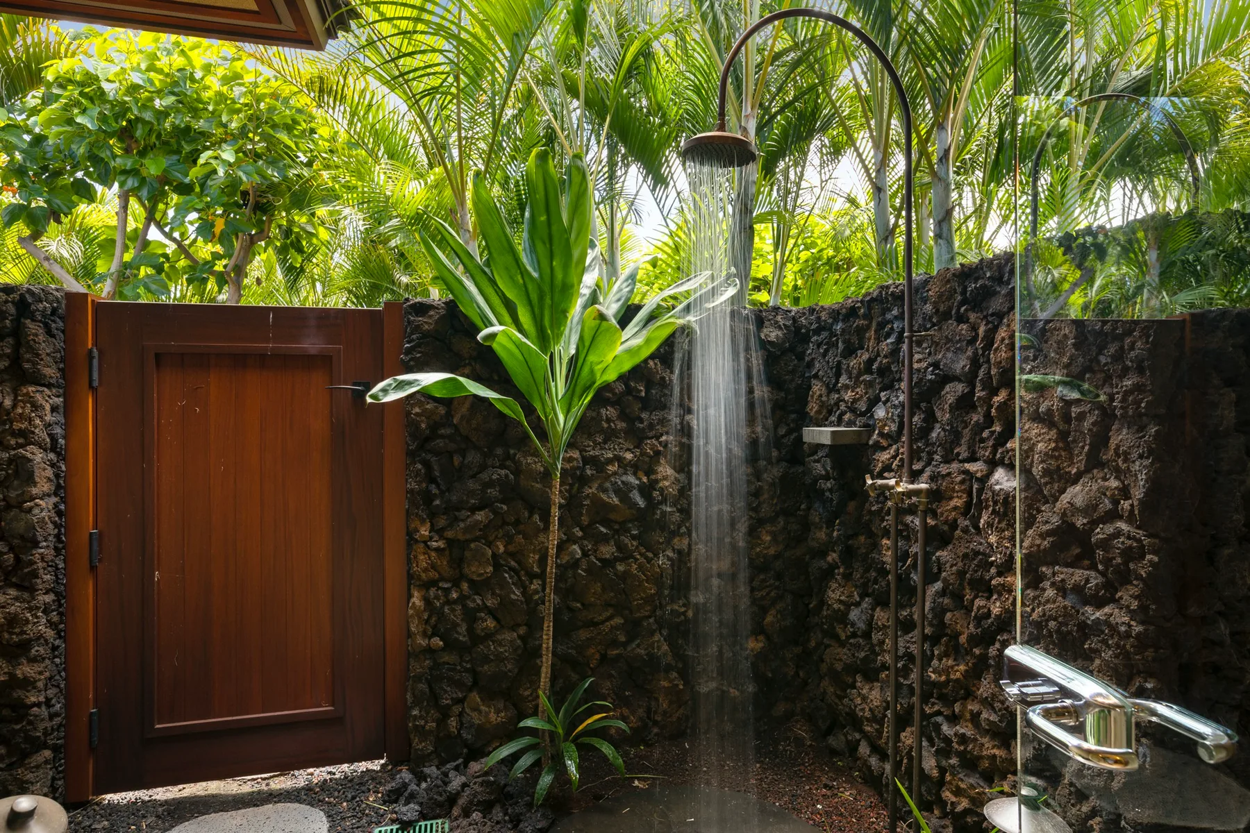 An outdoor shower area with a wooden door and tropical plants.