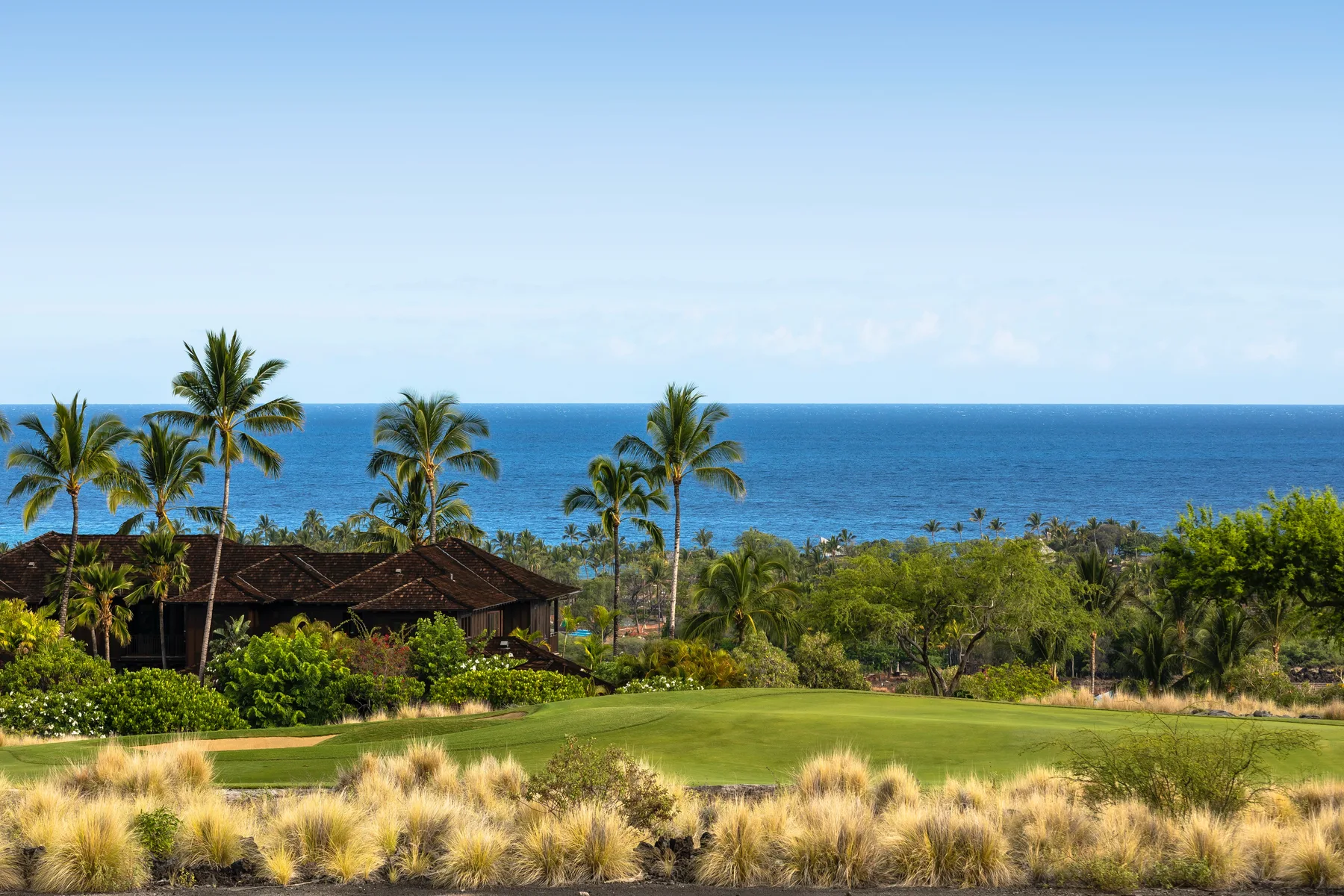 A coastal landscape with a grassy lawn, palm trees, and the ocean beyond.