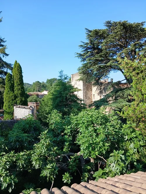 Palombe room