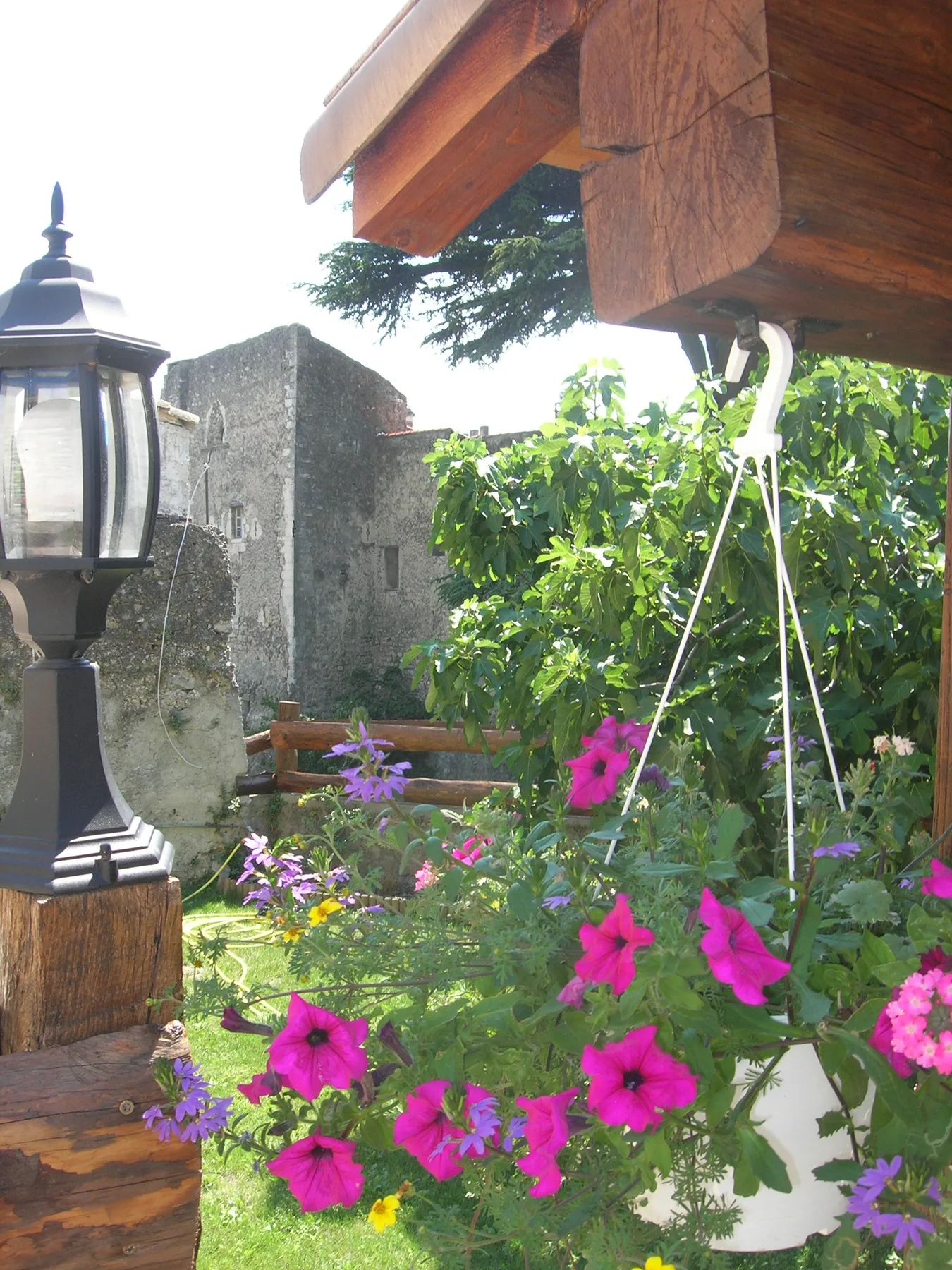 Garden view toward the château