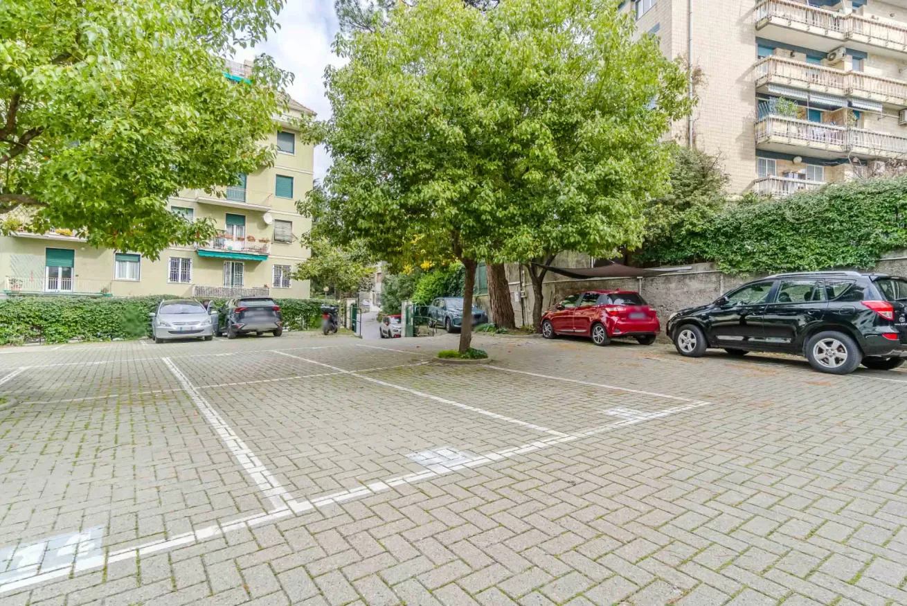 A paved parking area with several parked cars beneath leafy trees.