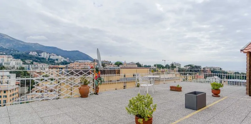 A rooftop terrace with potted plants overlooks nearby buildings and mountains.
