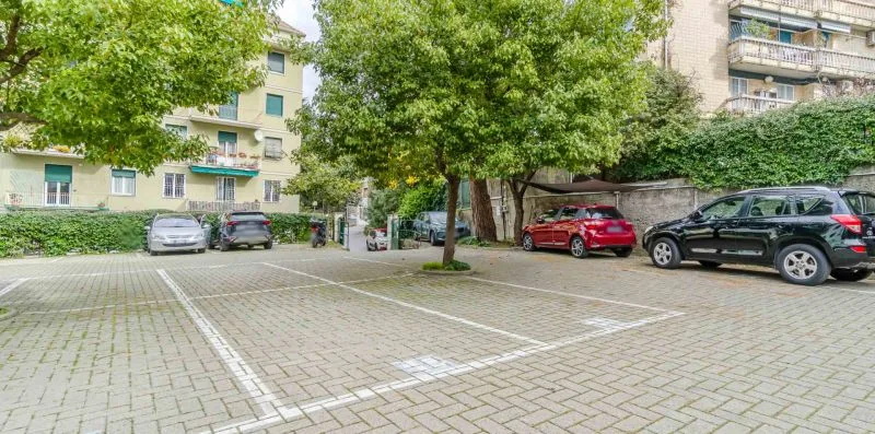 A paved parking area with marked spaces, parked cars, and leafy trees.