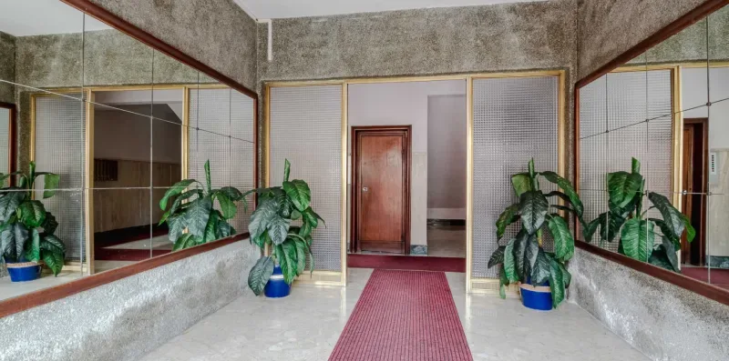 A mirrored hallway with a red runner and potted plants.