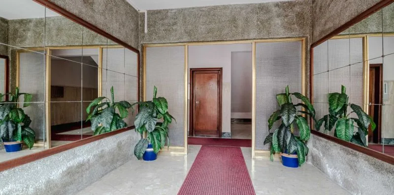 An interior hallway with a red runner, wooden door, mirrored walls, and potted plants.