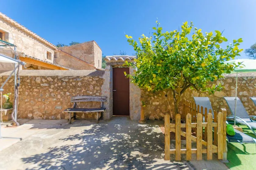 Un patio soleado de piedra tiene un árbol frondoso, un banco de madera y una pequeña valla.