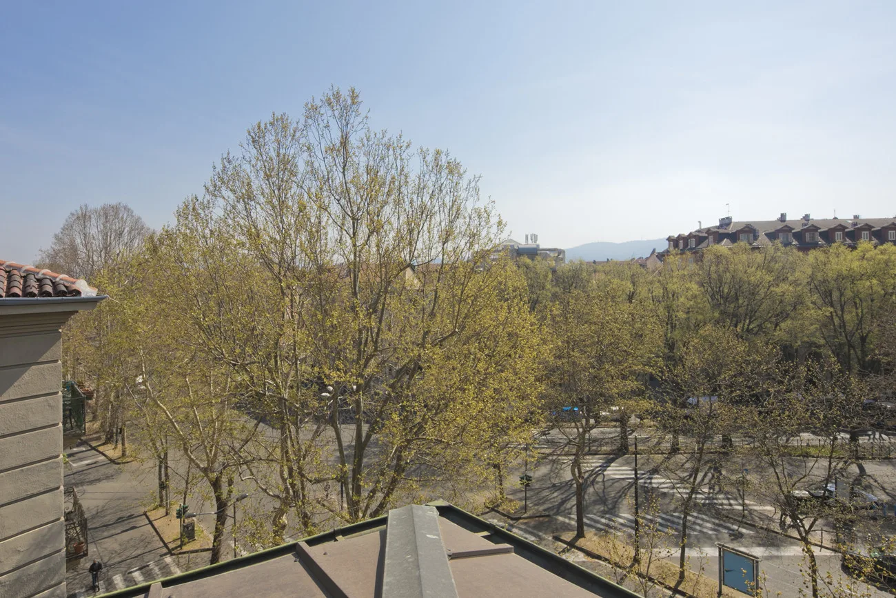Vista exterior arbolada con tejados y colinas lejanas bajo un cielo despejado.