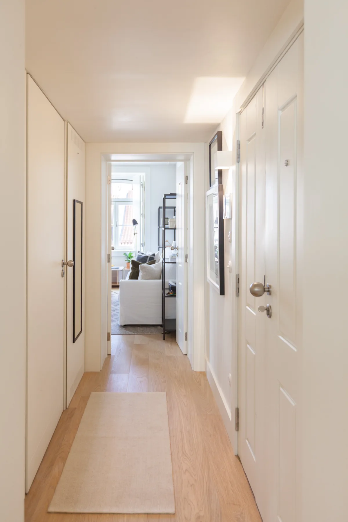 A bright apartment hallway with a rug leading toward a living area.