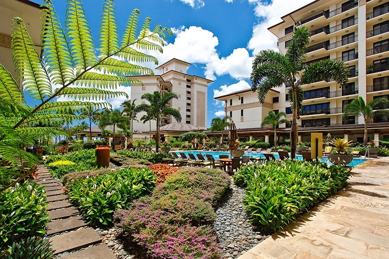 Un jardín ajardinado junto a una piscina y edificios de varios pisos.