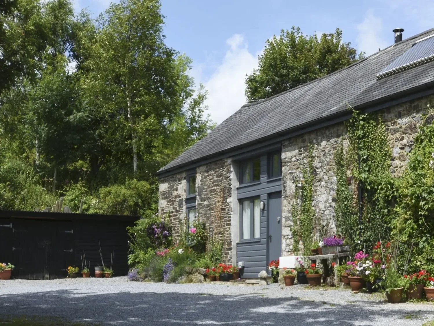 Casa de campo de piedra con puerta y ventanas grises, rodeada de plantas y flores, con entrada de grava para vehículos en The Stone Barn Cottage, en Holne