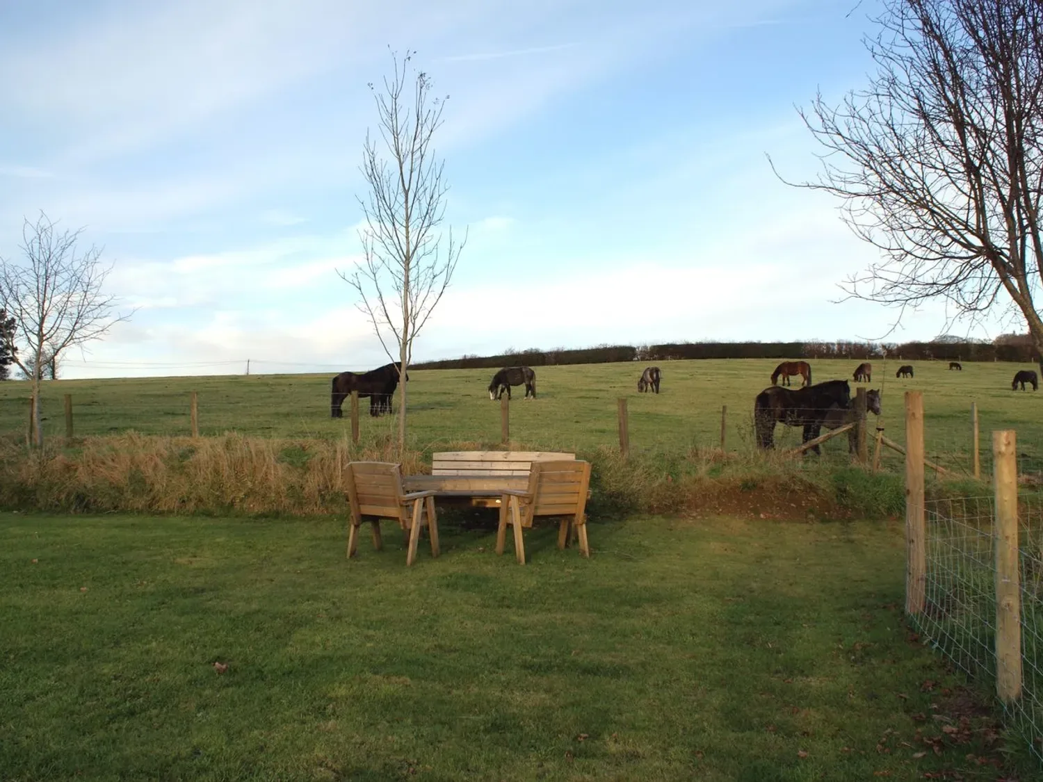Un prado con caballos pastando, sillas de exterior de madera y una mesa en The Stone Barn Cottage, en Holne