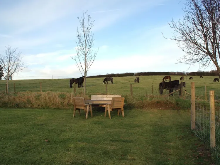 Una zona de estar al aire libre con césped da a un prado cercado con caballos pastando.