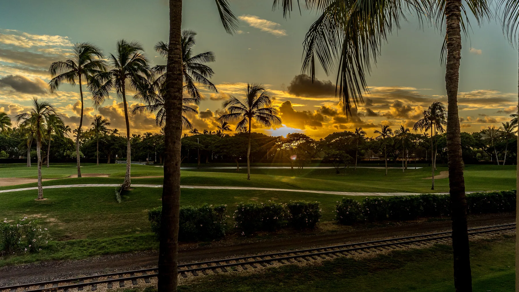 A sunset glows over a palm-lined lawn and railway tracks.