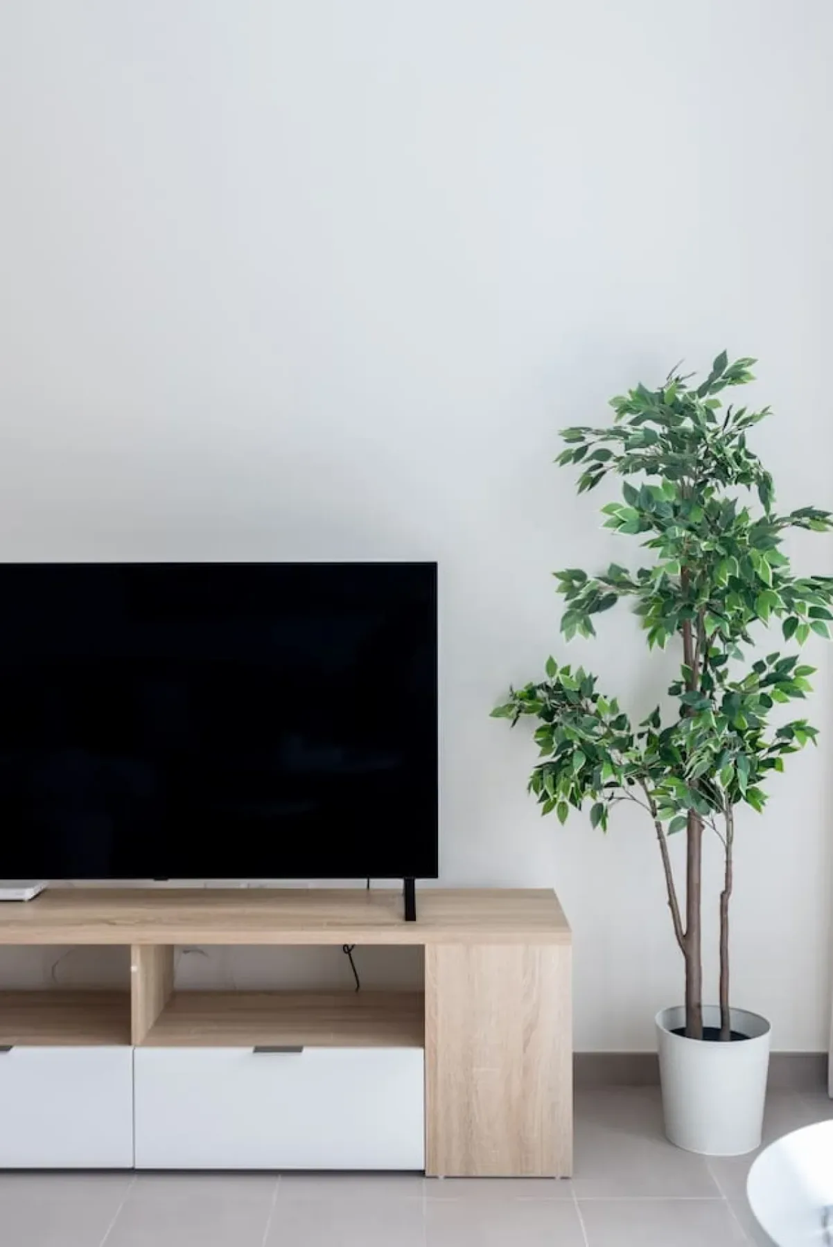 A living room with a television on a low console and a potted plant.
