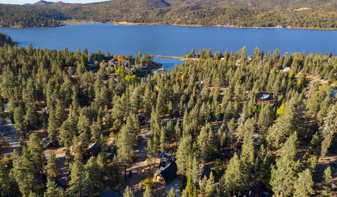 Aerial view of a wooded lakeside area with cabins among the trees.