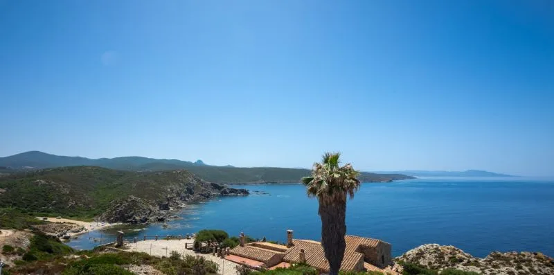 A coastal landscape with a palm tree, rocky hills, and blue water.