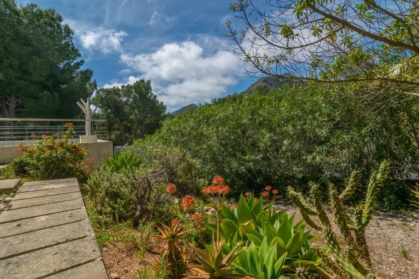 A garden path winds through flowering plants and shrubs beneath a partly cloudy sky.